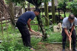 Libatkan masyarakat, Polres Bursel tanam 600 anakan pohon di sepanjang jalan Namrole