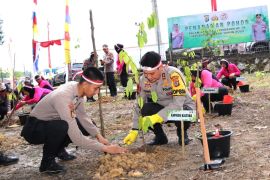 Penanaman Pohon Dalam Rangka HUT Bhayangkara Ke-78 oleh Polda Kaltara