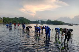 Sambut HUT Bhayangkara Polres Situbondo tanam 3.000 bibit mangrove