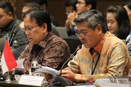 Indonesia-Jepang perkuat kerja sama sektor otomotif pacu dekarbonisasi