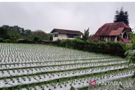 OCFI dorong penguatan tata kelola pendanaan BPDLH