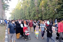 Tajuk ANTARA NTB - Menata Udayana, Menata wajah kota