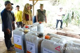 Peternak Banyuwangi manfaatkan kotoran ternak jadi biogas