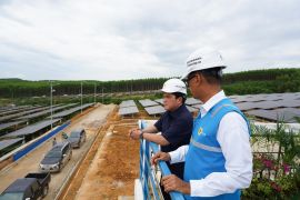 Tinjau PLTS PLN, Menteri BUMN pastikan peringatan HUT RI di IKN gunakan listrik hijau