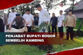 Penjabat Bupati Bogor sembelih kambing
