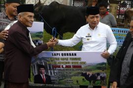 Pj gubernur Maluku serahkan sapi Presiden ke Masjid Raya Alfatah Ambon