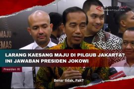 Larang Kaesang maju di Pilgub Jakarta? Ini jawaban Presiden Jokowi