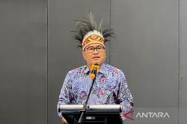 Kementerian PANRB dorong integrasi layanan publik digital di Papua