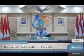 Tingkat ketimpangan RI pada Maret 2024 turun, rasio gini 0,379