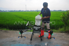 Penyemprotan pestisida menggunakan pesawat drone Page 1 Small