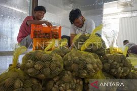 Aceh catat nilai ekspor capai 242,7 juta dolar AS hingga Mei 2024
