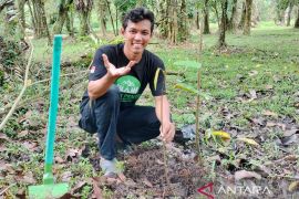 Pemuda Kalbar gelorakan gerakan menanam satu pohon untuk Indonesia