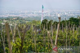 Alih fungsi lahan di kawasan Bandung Utara