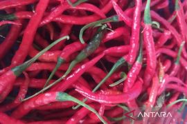 IHK Pematangsiantar dan Labuhan Batu periode Juni 2024 alami deflasi