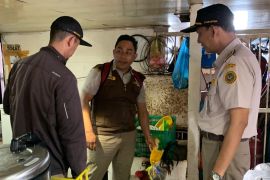 Barantin Maluku Utara intensif awasi upaya penyelundupan  unggas