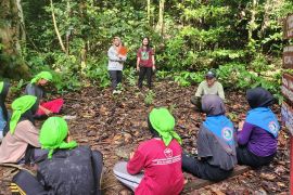 Kaum muda di Kalbar mendapat edukasi pentingnya hutan hujan
