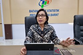 BPS Papua Barat sebut sensus OAP butuh penetapan kriteria dari Pemda