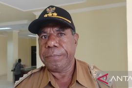 Distrik Nimbokrang beri bantuan 78 ekor sapi ke warga OAP