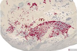 BRIN temukan lukisan gua tertua di Indonesia berusia 51.200 tahun