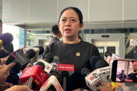 Puan sebut reshuffle kabinet hak prerogatif Presiden Jokowi