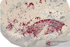 Arkeolog imbau agar menjaga kelestarian lukisan prasejarah di Sulawesi