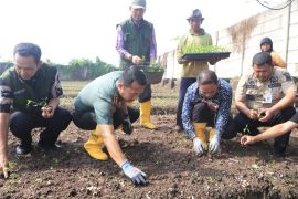 Hasil panen cabai warga dipasarkan ke pasar induk Tanah Tinggi