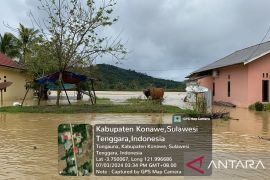 Ratusan hektare sawah di Konawa Sultra terendam banjir