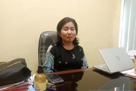 Produksi lada Belitung menurun sepanjang 2023