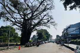 Wartawati jadi korban pelecehan seksual di trotoar Bogor, polisi berupaya ungkap pelaku