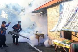 Pemkot Madiun catat 504 kasus DBD hingga pertengahan 2024