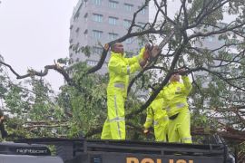 Personel Polda Maluku dikerahkan tebang pohon tumbang di depan Kantor KPU