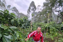 Pemprov Lampung catat nilai transaksi ekonomi KTH di 2023 Rp234,7 miliar