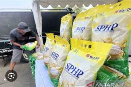 Bulog intensifkan penyaluran beras dan jagung murah di Tulungagung