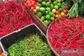 Sabtu, begini perkembangan harga kebutuhan pokok di Kota Medan