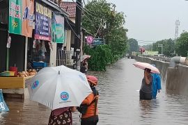 BNPB sebut ada 673 KK di Tangerang Selatan terdampak banjir