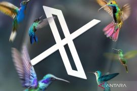 Platform X alias "Twitter" error hingga sulit diakses pada Senin