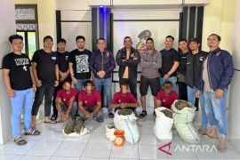 Polres Nagan Raya tangkap empat warga terkait kepemilikan ganja 21,5 Kg