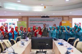 Bapanas sosialikasikan diversifikasi konsumsi pangan B2SA
