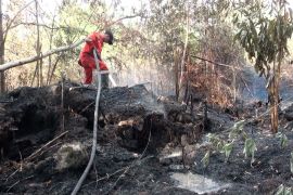 1,67 hektare lahan terbakar, api masih membara di dalam gambut