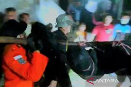 Korban meninggal 23 orang akibat longsor tambang di Gorontalo