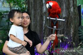Mini Zoo di Pusat perbelanjaan Medan