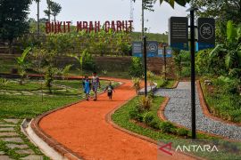 Luas RTH di Kota Bandung