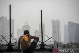 Peneliti UI ungkap dampak polusi udara jangka pendek-panjang bagi kesehatan