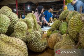 Percepatan ekspor buah durian dari Sulteng Page 1 Small