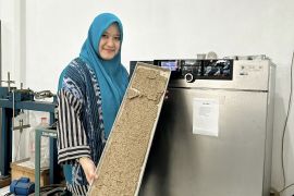 Academic makes mulch from banana, hyacinth waste to prevent weeds