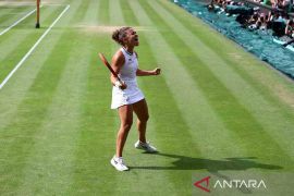 Kalahkan Paolini, Zheng Qinwen melaju ke semifinal WTA Finals