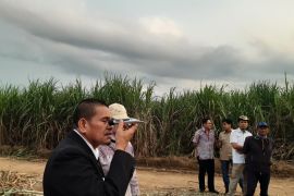 Dukung swasembada gula, RH PTPN I Regional 7 kunjungi pabrik gula Bunga Mayang