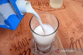 Susu dapat tingkatkan risiko penyakit jantung pada wanita