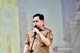 Aulia-Mansyah penuhi syarat dukungan jalur independen Pilkada HST 2024
