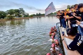 Banua Triathlon masuk kalender triathlon Indonesia